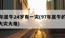 97年属牛24岁有一灾(97年属牛的24岁大灾大难)