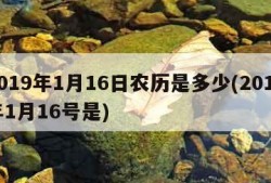 2019年1月16日农历是多少(2019年1月16号是)