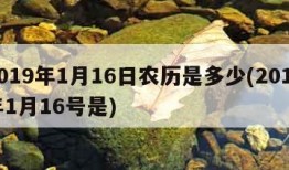 2019年1月16日农历是多少(2019年1月16号是)