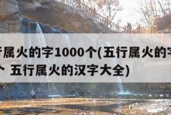 五行属火的字1000个(五行属火的字1000个 五行属火的汉字大全)