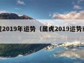 属虎2019年运势（属虎2019运势或运程）