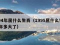 1994年属什么生肖（1995属什么生肖 今年多大了）