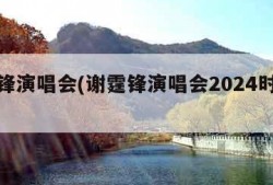 谢霆锋演唱会(谢霆锋演唱会2024时间表)