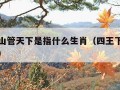 四王下山管天下是指什么生肖（四王下山是指哪四肖）