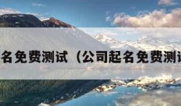 公司起名免费测试（公司起名免费测试打分）