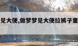 做梦梦见大便,做梦梦见大便拉裤子里了是什么意思