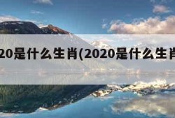 2020是什么生肖(2020是什么生肖年)