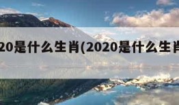 2020是什么生肖(2020是什么生肖年)