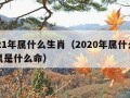 2021年属什么生肖（2020年属什么生肖鼠是什么命）