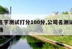 公司名字测试打分100分,公司名测试打分最准确