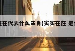 实实在在代表什么生肖(实实在在 是什么生肖)