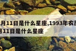 12月11日是什么星座,1993年农历12月11日是什么星座