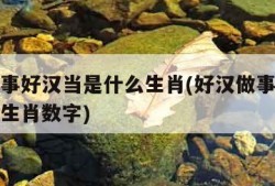 好汉做事好汉当是什么生肖(好汉做事好汉当是什么生肖数字)