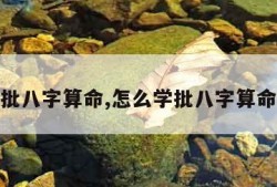 批八字算命,怎么学批八字算命