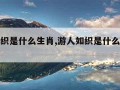 游人如织是什么生肖,游人如织是什么生肖或动物