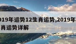 2019年运势12生肖运势,2019年各生肖运势详解