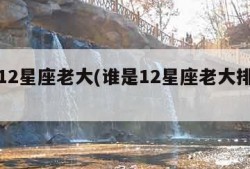 谁是12星座老大(谁是12星座老大排行榜)