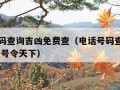 电话号码查询吉凶免费查（电话号码查询吉凶免费查 号令天下）