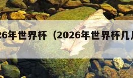 2026年世界杯（2026年世界杯几月几号）