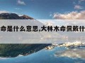 大林木命是什么意思,大林木命佩戴什么饰品好