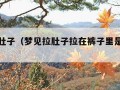 梦见拉肚子（梦见拉肚子拉在裤子里是什么意思）