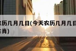 今天农历几月几日(今天农历几月几日了?属什么生肖)