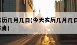 今天农历几月几日(今天农历几月几日了?属什么生肖)