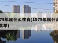 1979年属什么生肖(1979年属什么生肖属羊)