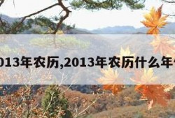 2013年农历,2013年农历什么年份