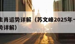 十二生肖运势详解（苏文峰2025年十二生肖运势详解）