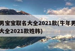 牛年男宝宝取名大全2021款(牛年男宝宝取名大全2021款姓韩)