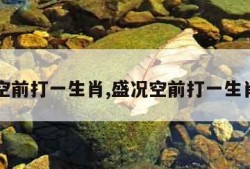 盛况空前打一生肖,盛况空前打一生肖图片