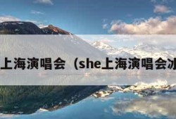 she上海演唱会（she上海演唱会冰箱）