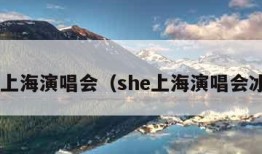 she上海演唱会（she上海演唱会冰箱）