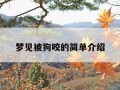 梦见被狗咬的简单介绍