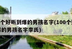 100个好听到爆的男孩名字(100个好听到爆的男孩名字李氏)