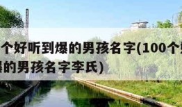 100个好听到爆的男孩名字(100个好听到爆的男孩名字李氏)