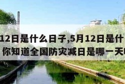 5月12日是什么日子,5月12日是什么日子? 你知道全国防灾减日是哪一天吗?