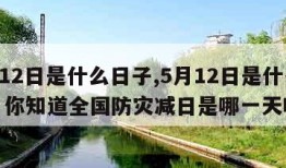 5月12日是什么日子,5月12日是什么日子? 你知道全国防灾减日是哪一天吗?