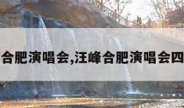 汪峰合肥演唱会,汪峰合肥演唱会四万人