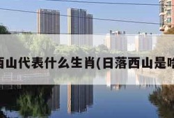 日落西山代表什么生肖(日落西山是啥生肖)