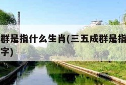 三五成群是指什么生肖(三五成群是指什么生肖和数字)