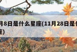 11月8日是什么星座(11月28日是什么星座)