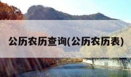 公历农历查询(公历农历表)