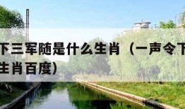 一声令下三军随是什么生肖（一声令下三军随是什么生肖百度）