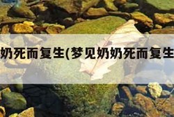 梦见奶奶死而复生(梦见奶奶死而复生还跟我说话)