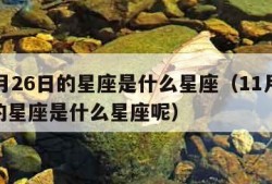 11月26日的星座是什么星座（11月26日的星座是什么星座呢）