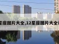 12星座图片大全,12星座图片大全动漫