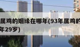 93年属鸡的姻缘在哪年(93年属鸡的姻缘在哪年29岁)