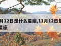 10月12日是什么星座,11月12日是什么星座